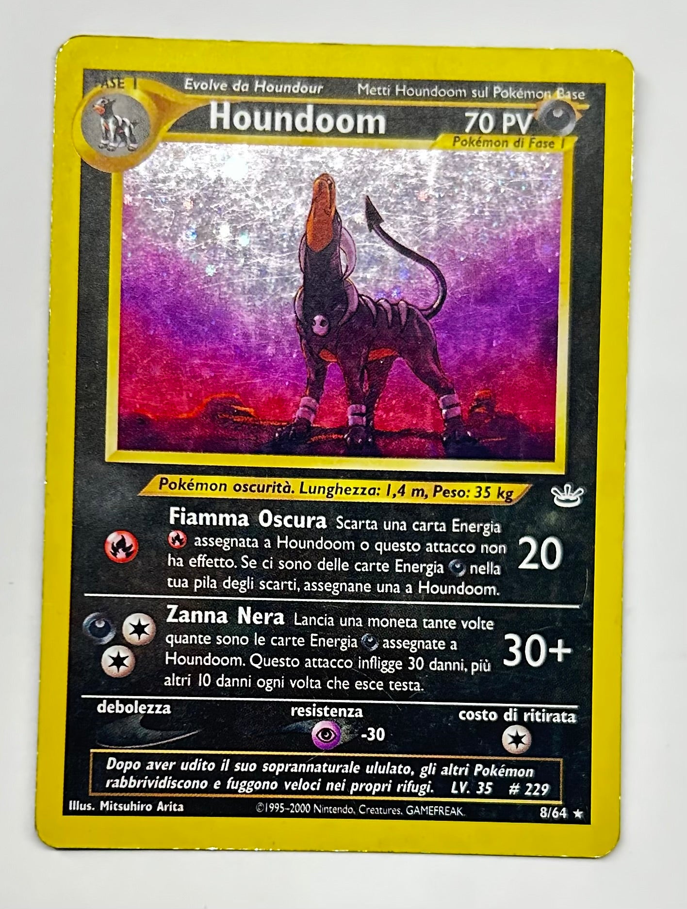 Houndoom