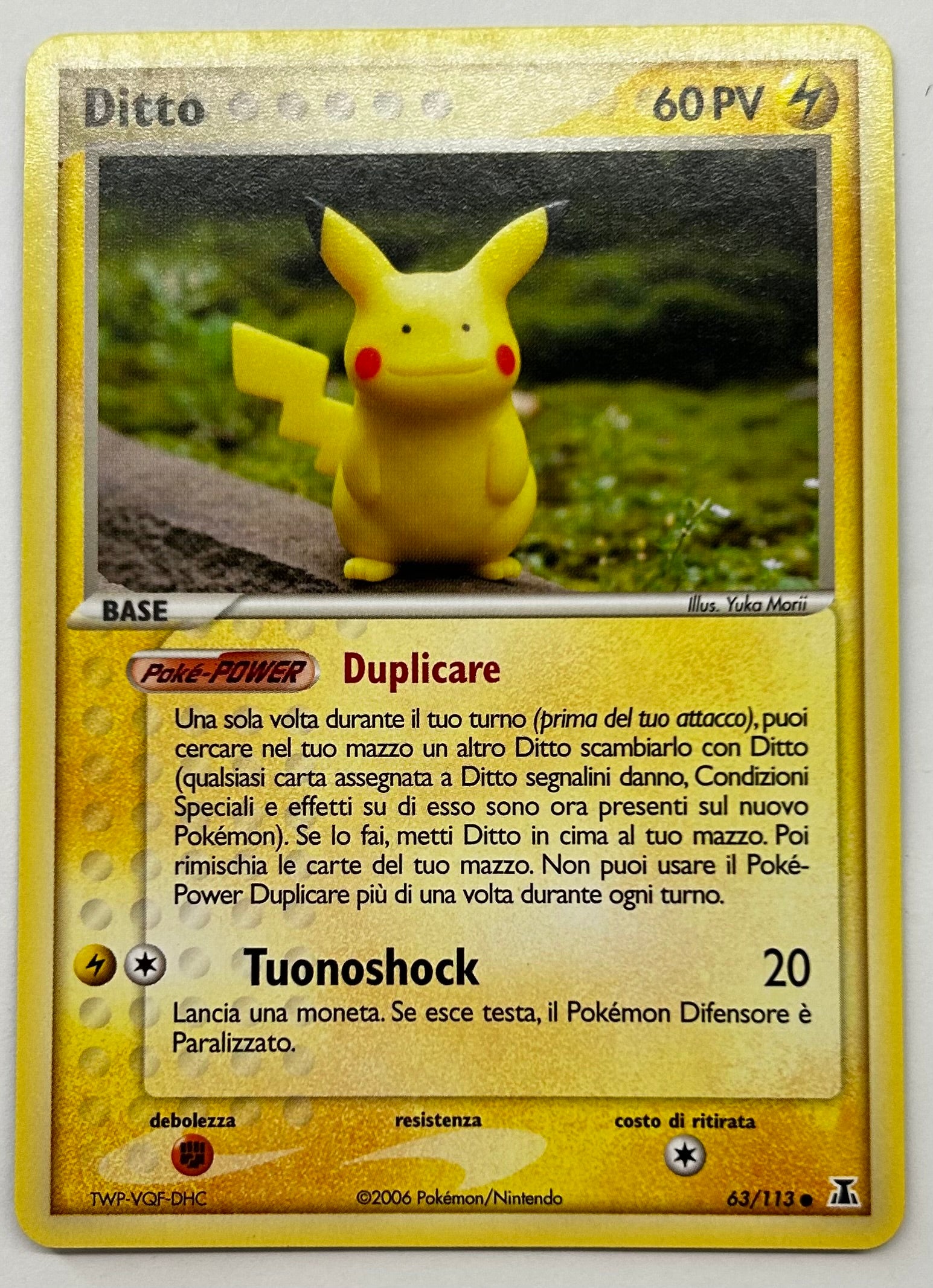 Ditto Pikachu