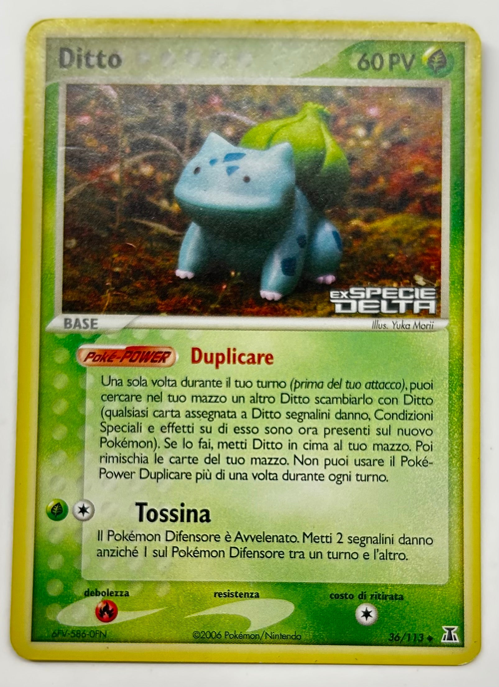 Ditto bulbasaur STP
