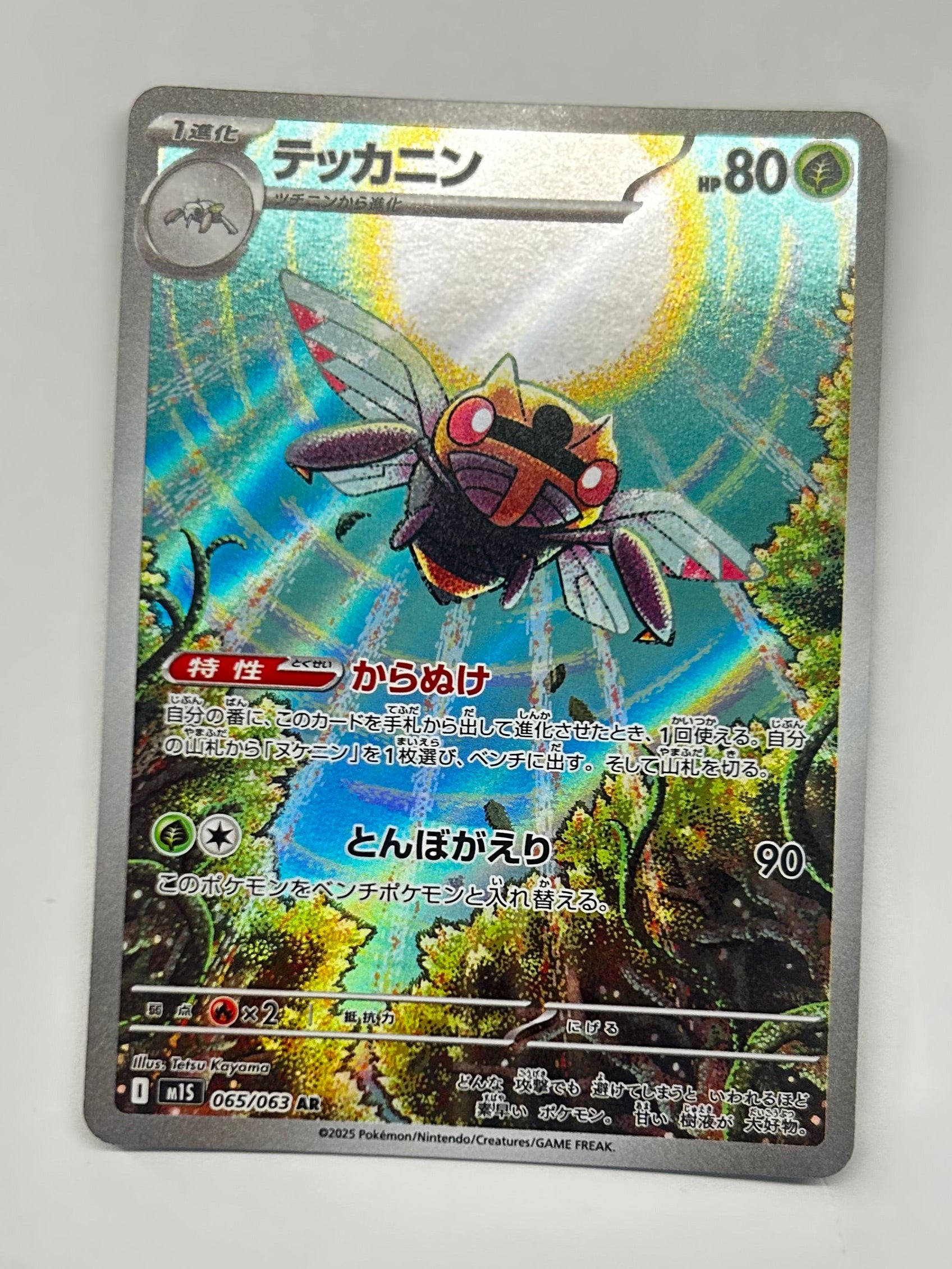 Ninjask