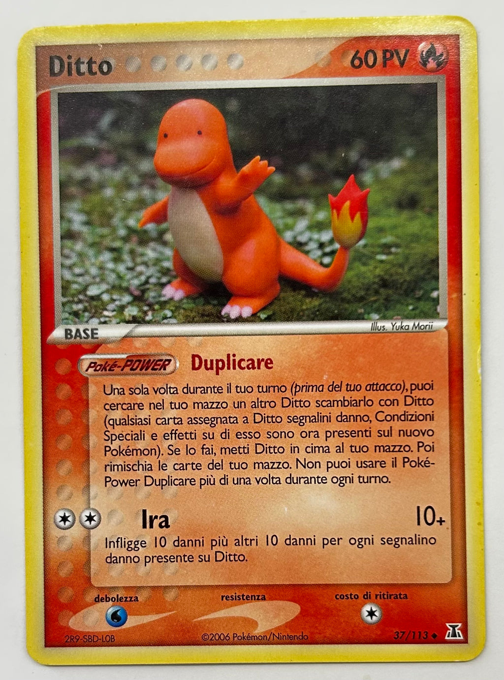 Ditto Charmander