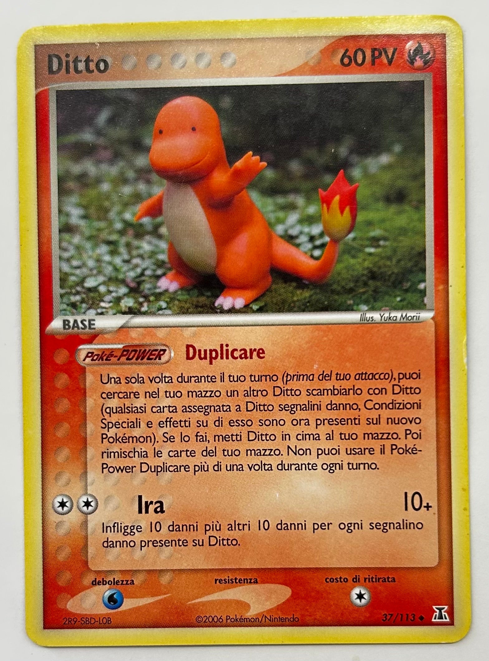 Ditto Charmander
