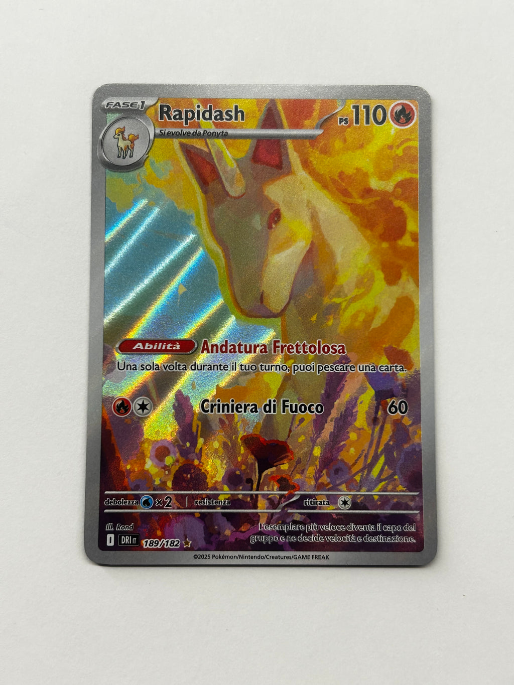 Rapidash